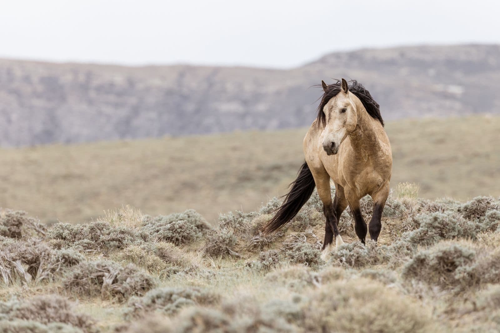 Photo: Kimerlee Curyl Photography