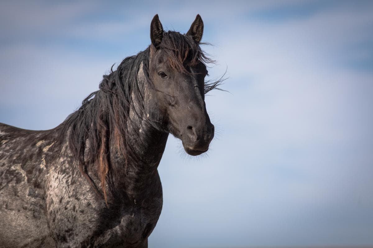 Photo by Kimerlee Curyl