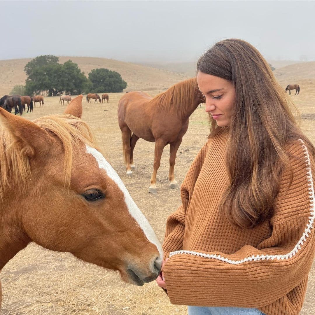 Instagram post image