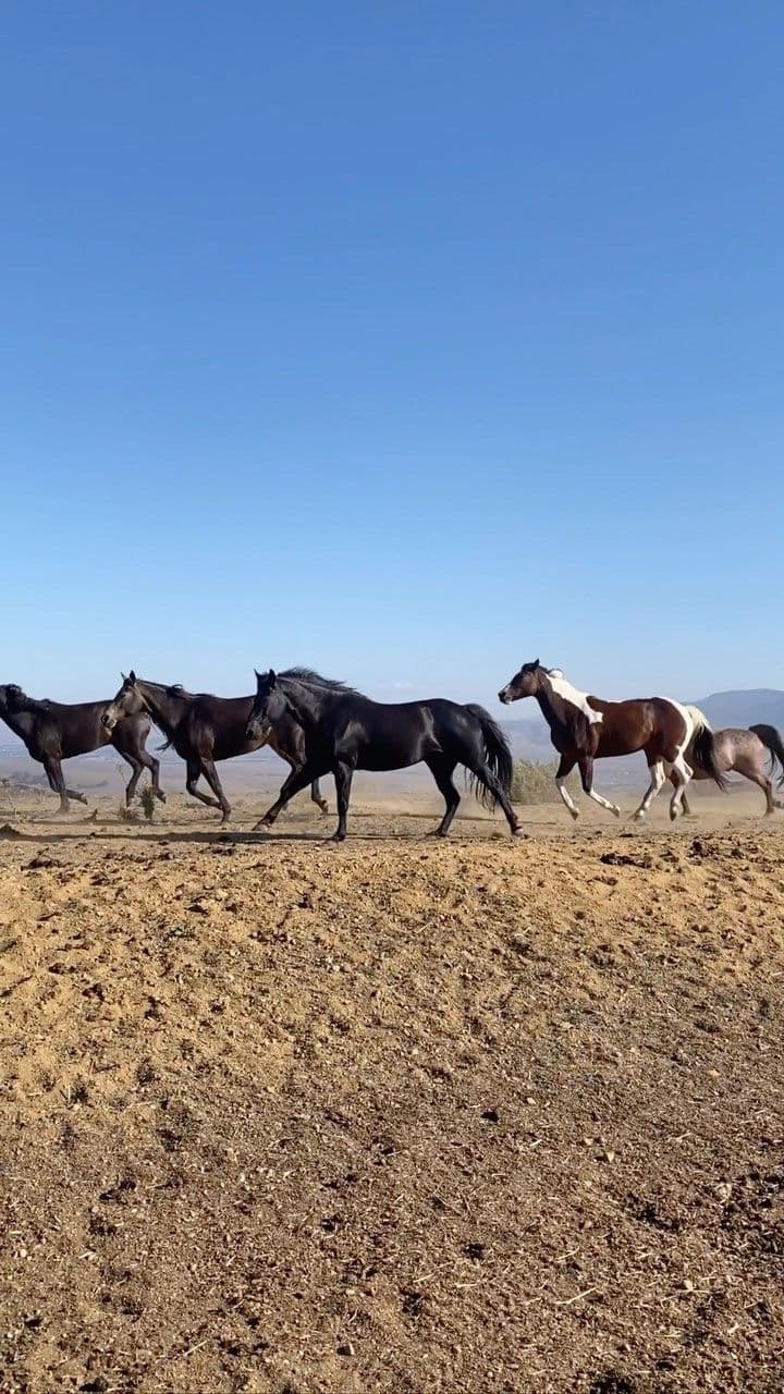 Instagram post image