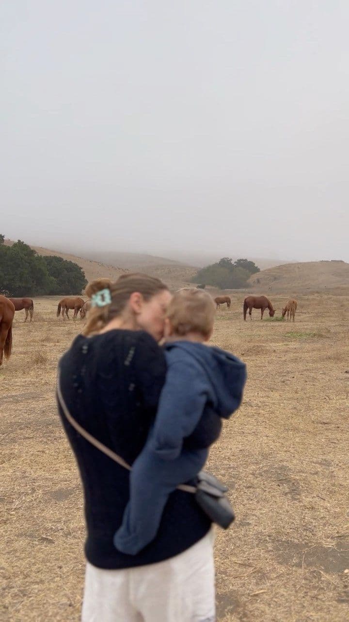 Instagram post image