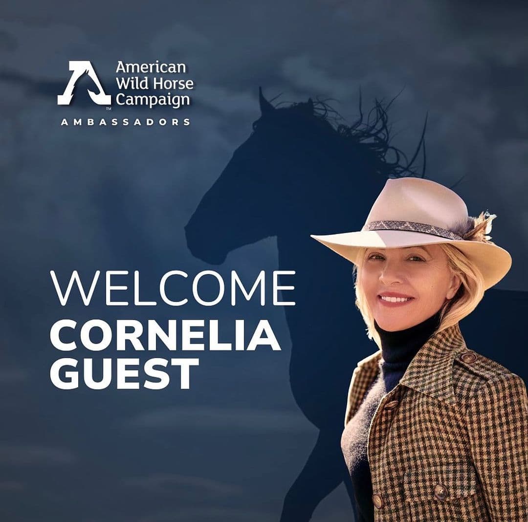 Instagram post image