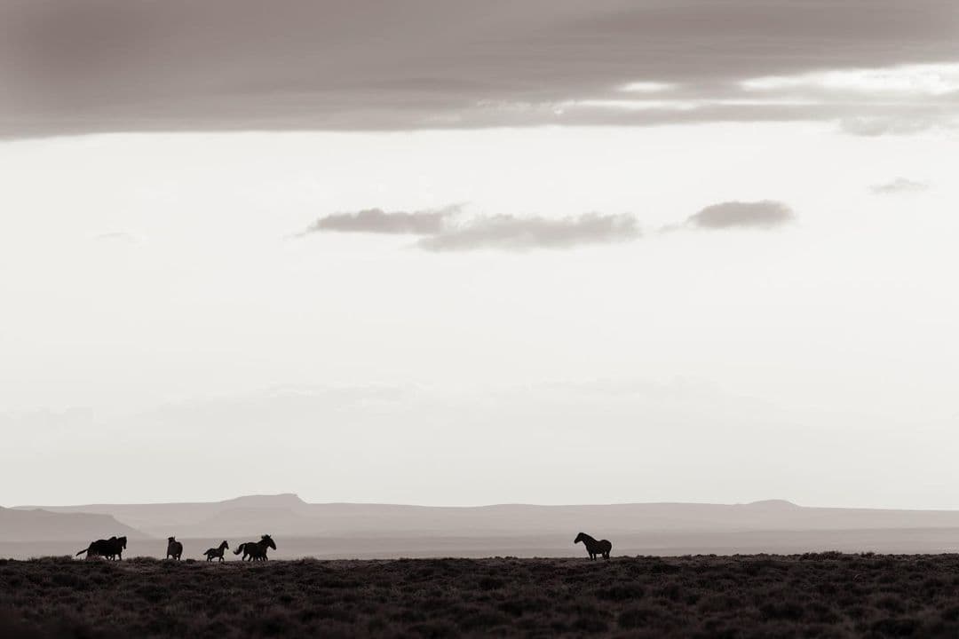 Instagram post image