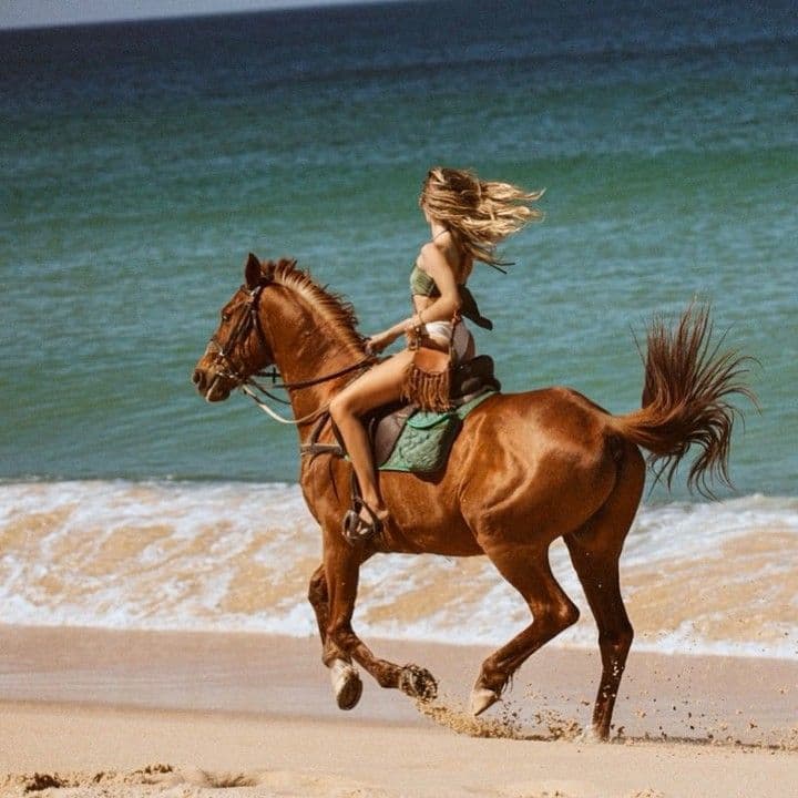 Instagram post image