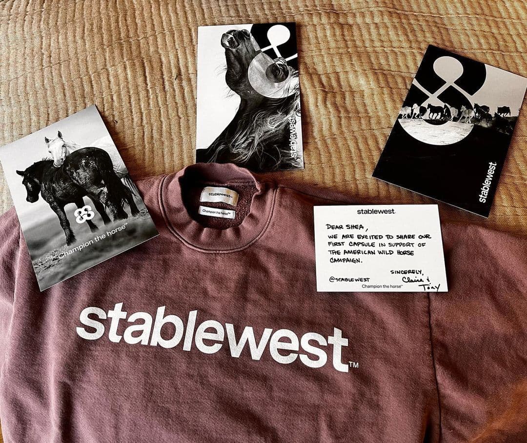 Instagram post image