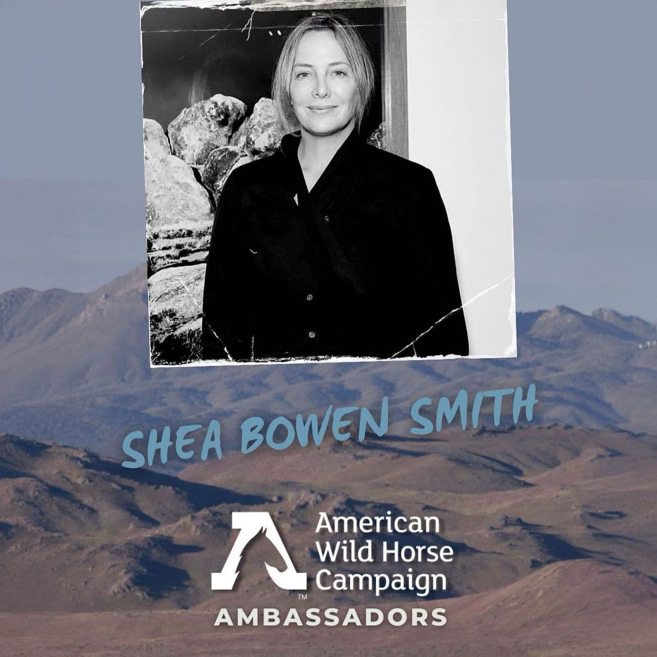 Instagram post image