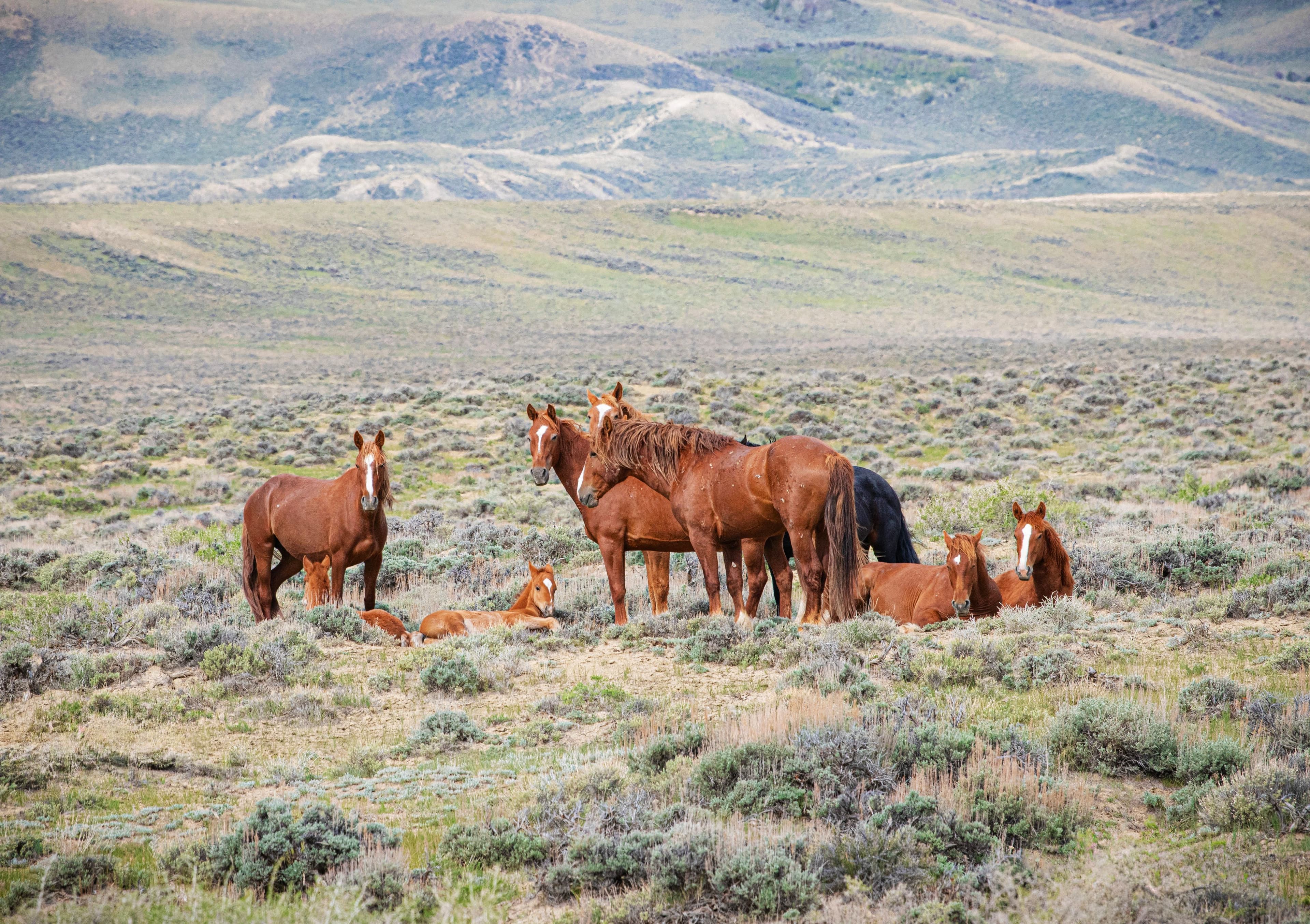 Photo credit to Steve Paige