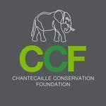 Instagram user image