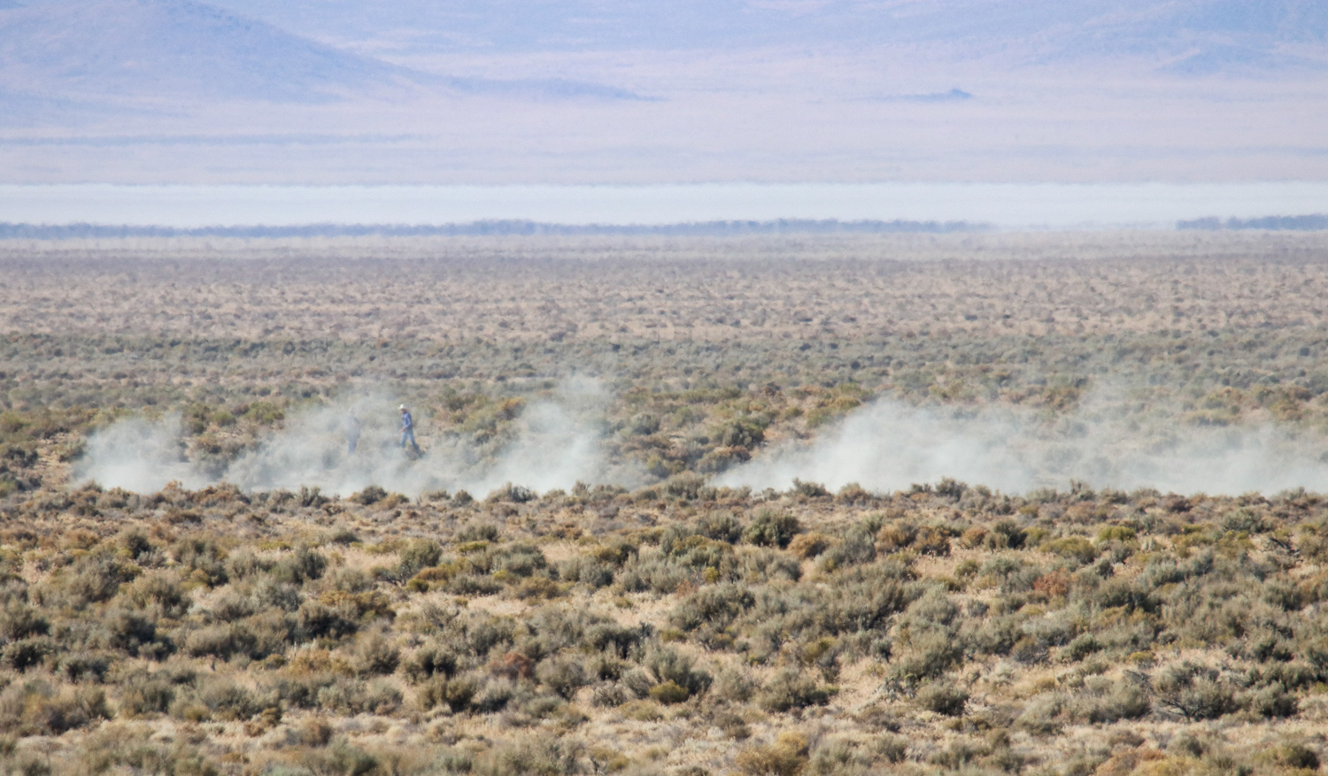 As burros enter the trap, clouds of dust rise from the ravine.