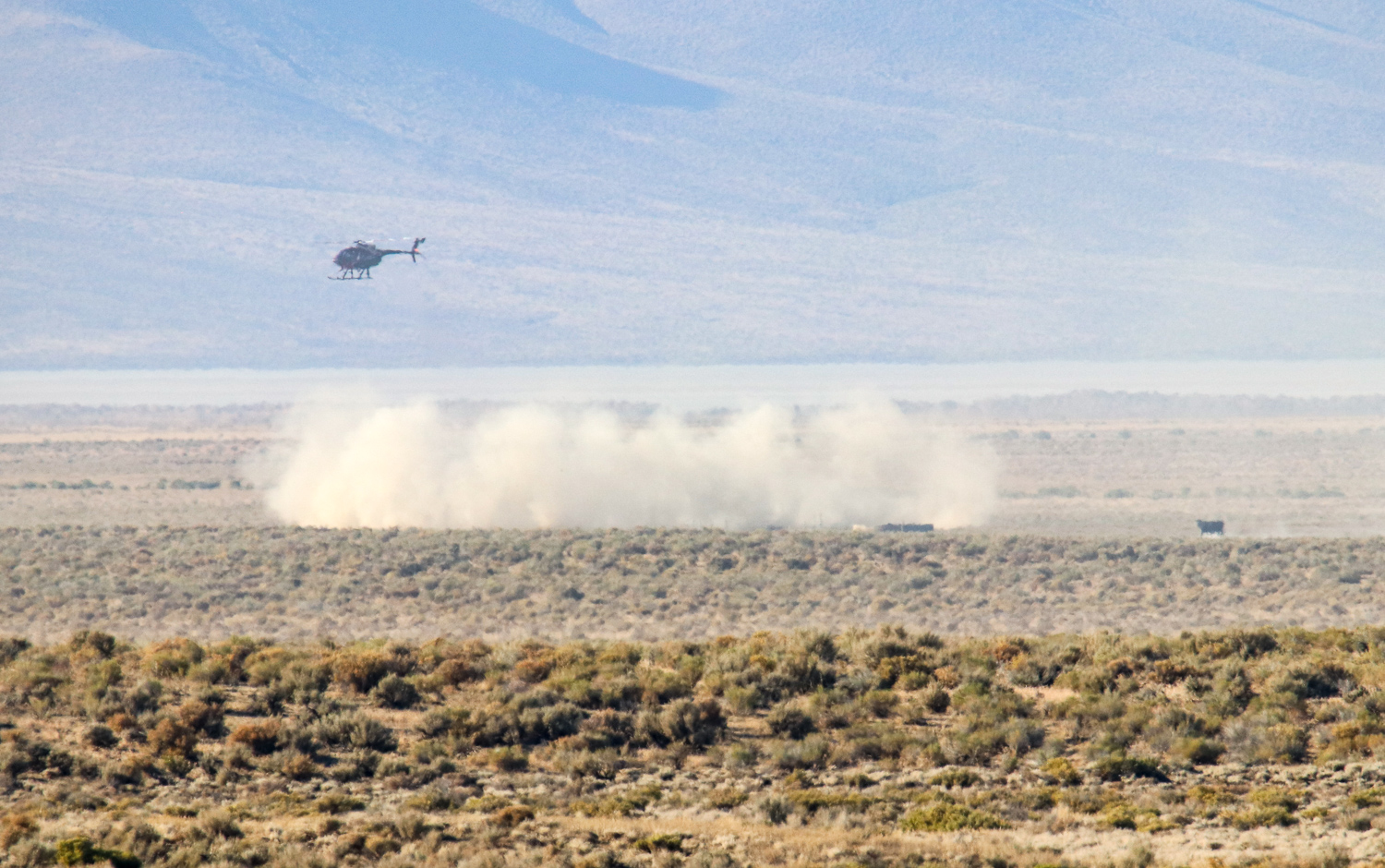 View of trap site.